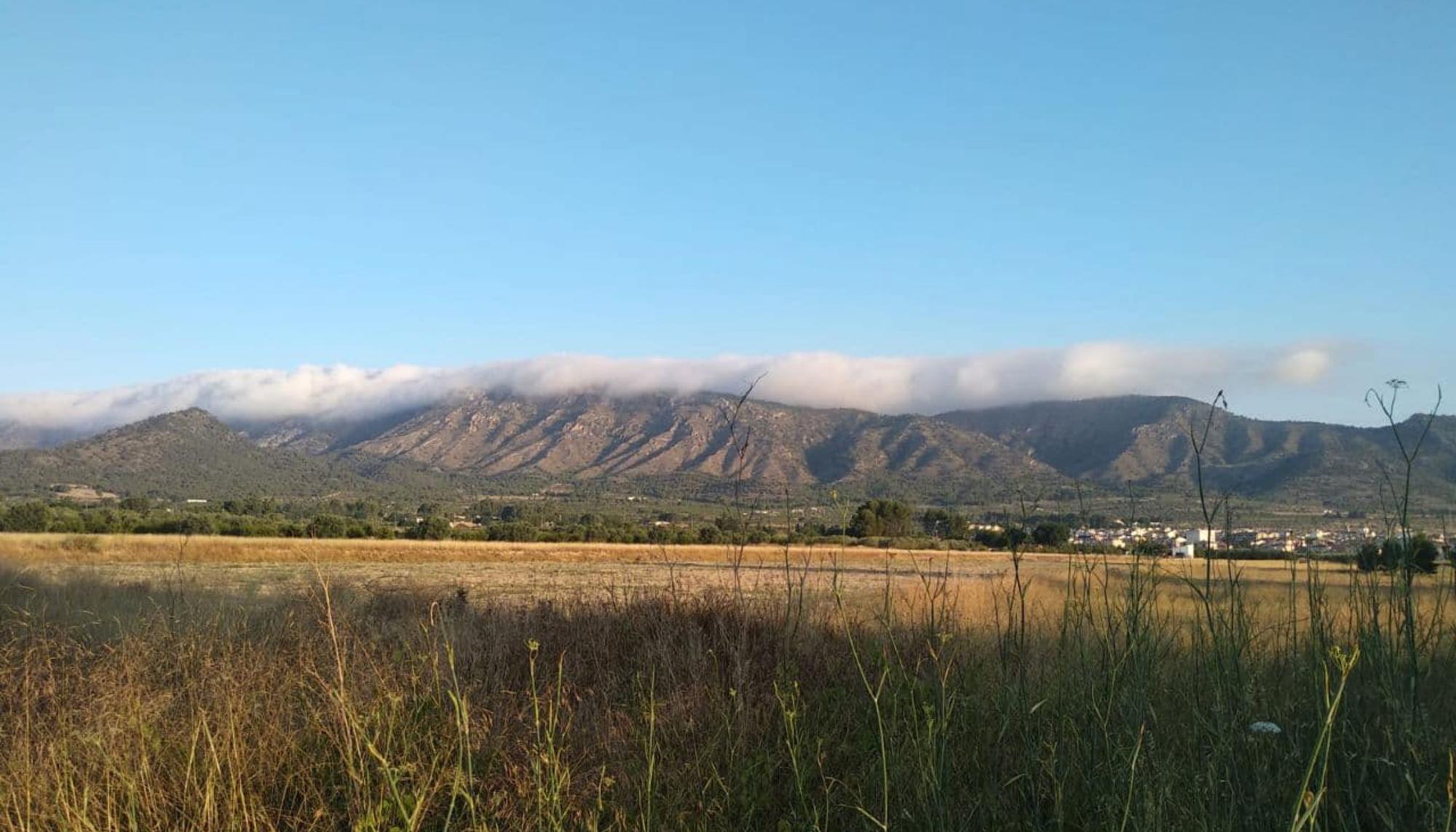 Fotovoltaicas Valencia